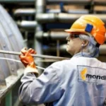 Precision Demolition in Pulp and Paper Mills: Enhancing Efficiency and Sustainability