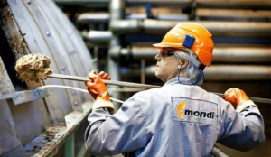 Precision Demolition in Pulp and Paper Mills: Enhancing Efficiency and Sustainability