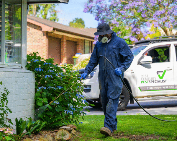 Effective Pest Control Solutions in Bowral