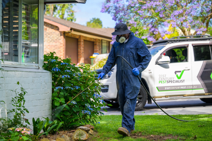Effective Pest Control Solutions in Bowral